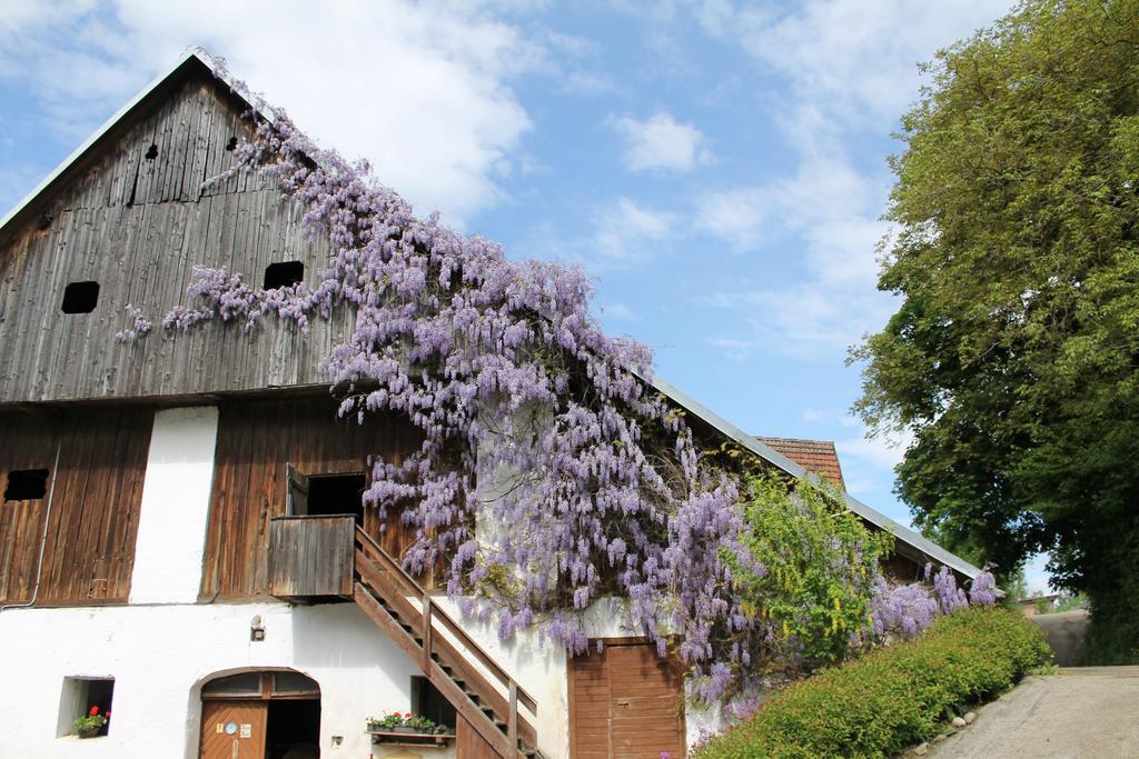 Guest house Neuhof 3*